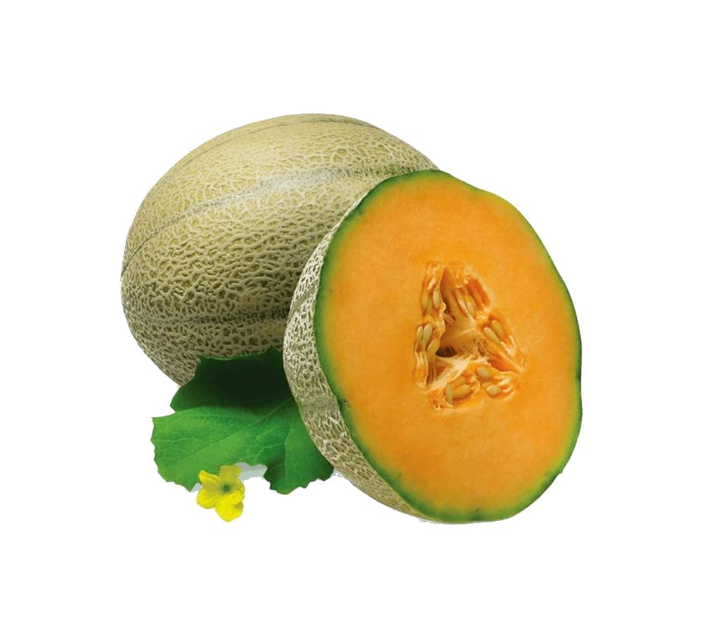 🍈 Melon 1 kg